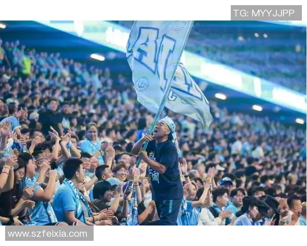 东北足球明星的崛起与成就探秘，谁是这片土地的骄傲