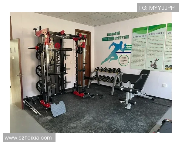 体育器材与健身器材采购指南助您提升运动体验与健康水平